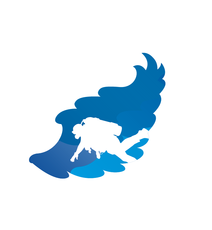 Okinawa Diving School Arc Angel